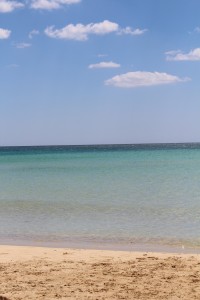 IMG_4932