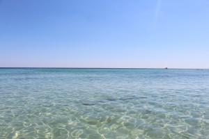 IMG_5084