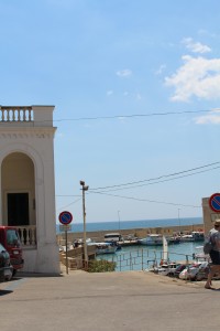 IMG_5127